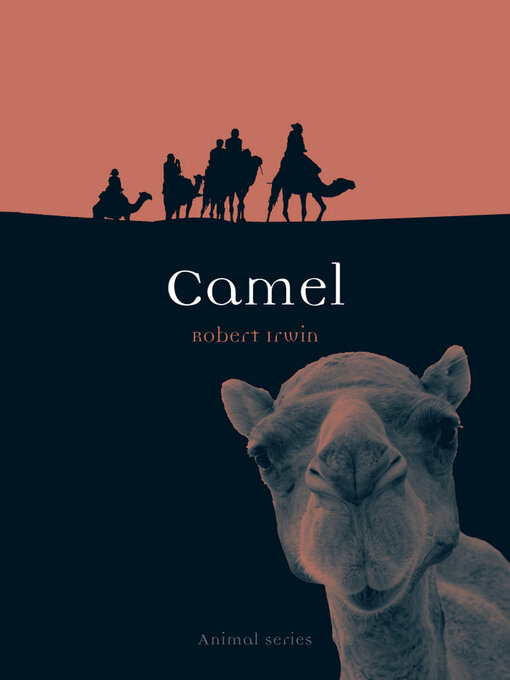 Title details for Camel by Robert Irwin - Available